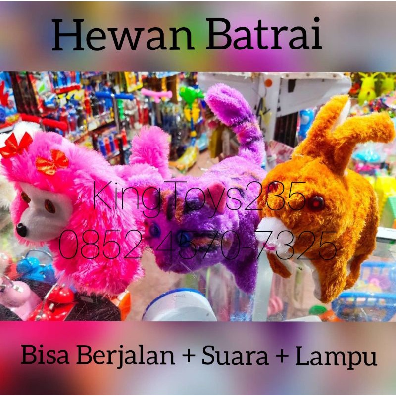 Mainan Kucing Batrai Anjing Kelinci Binatang Berjalan Suara Lampu Bonus Batrai Hewan Peliharaan
