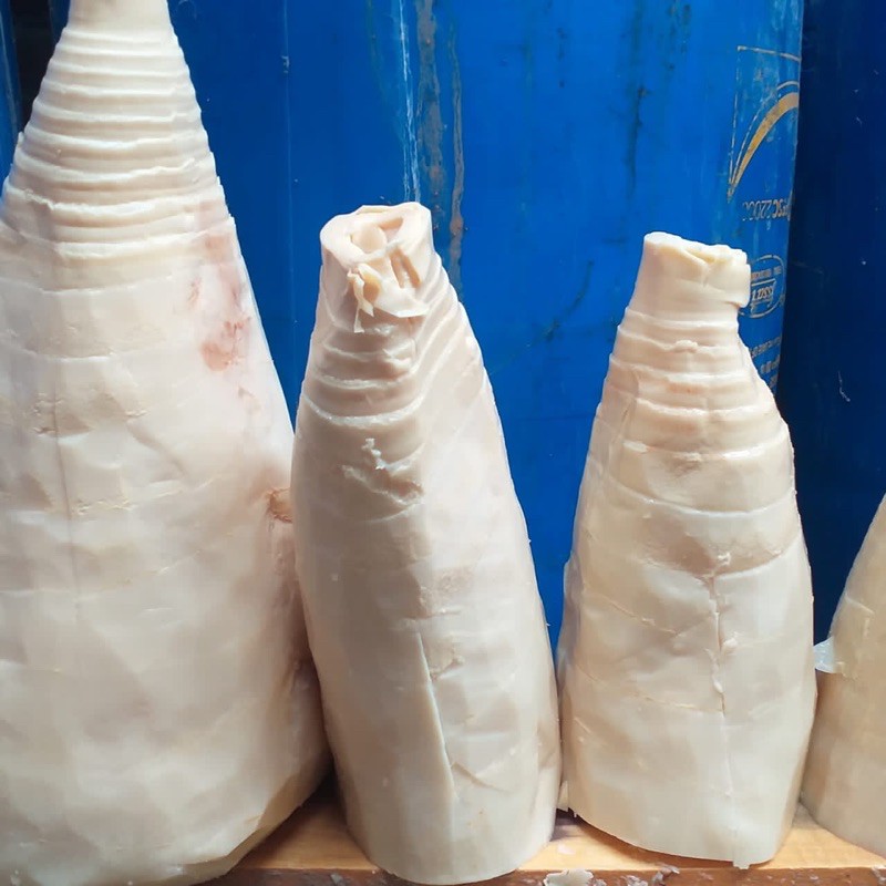 

Rebung - Rebung Bambu - Rebung Fresh - Rebung Fresh - Rebung Rebus