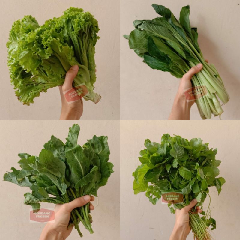 Jual Kangkung Bayam Pakcoy Sawi Hijau Shopee Indonesia