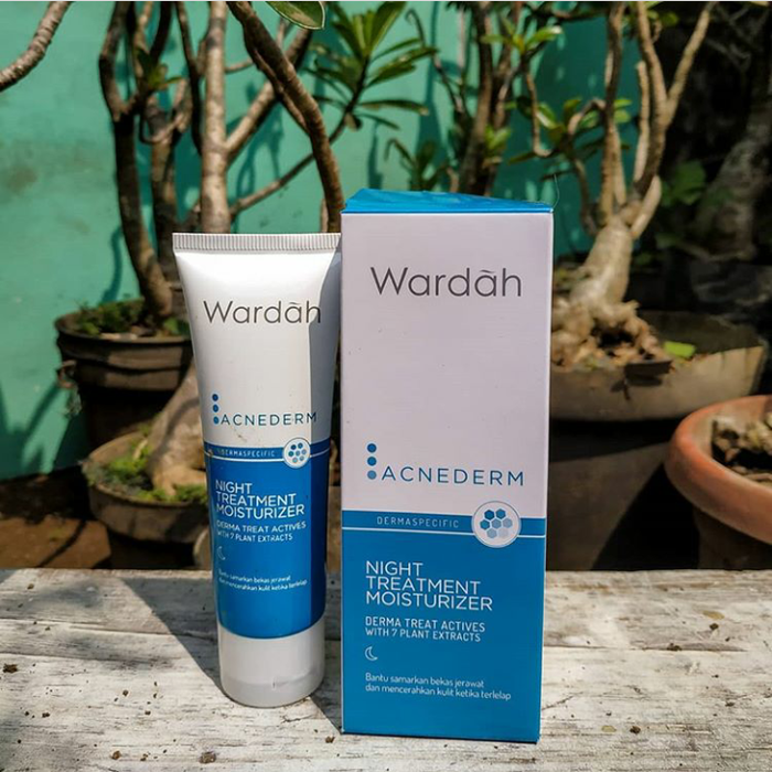 Wardah Acnederm Night Moisturizer/pelembab malam