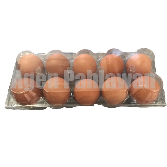 

Telur ayam 1/4, 1/2. 1kg