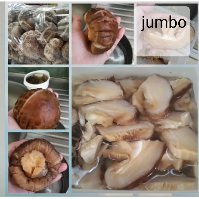 

Jamur hioko hyoko shitake S M Jumbo grade a++ per 100 gram