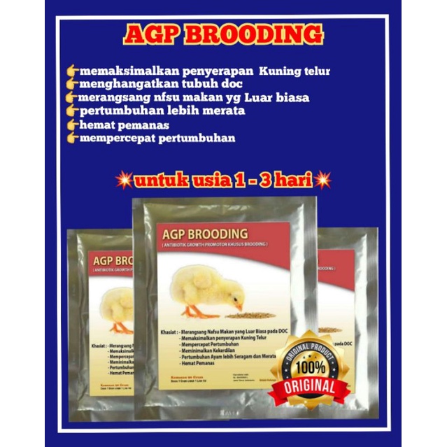 AGP BROODING-vitamin ayam-suplemen broiler-pejantan-joper-bebek dll