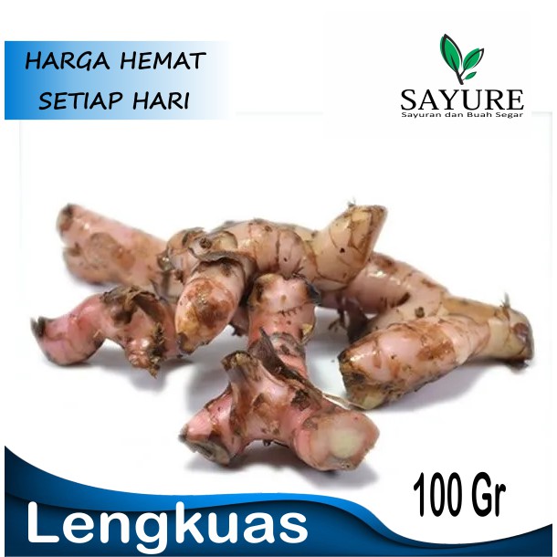 

LENGKUAS SEGAR 100 GR