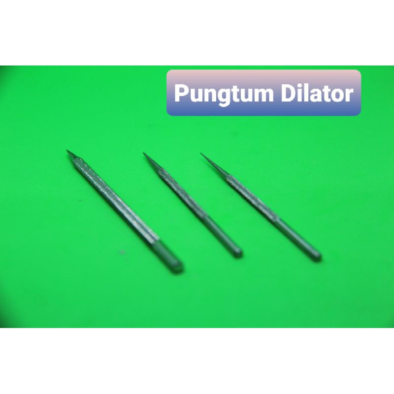 Pungtum Dilator