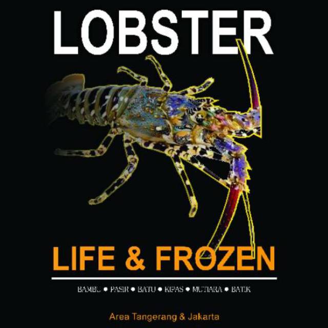 

Lobster Frozen 200/300 gr