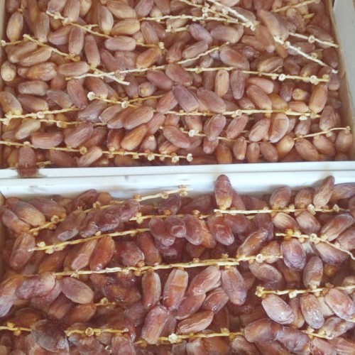 Kurma Tunisia Tangkai  sun fruit isi 5kg