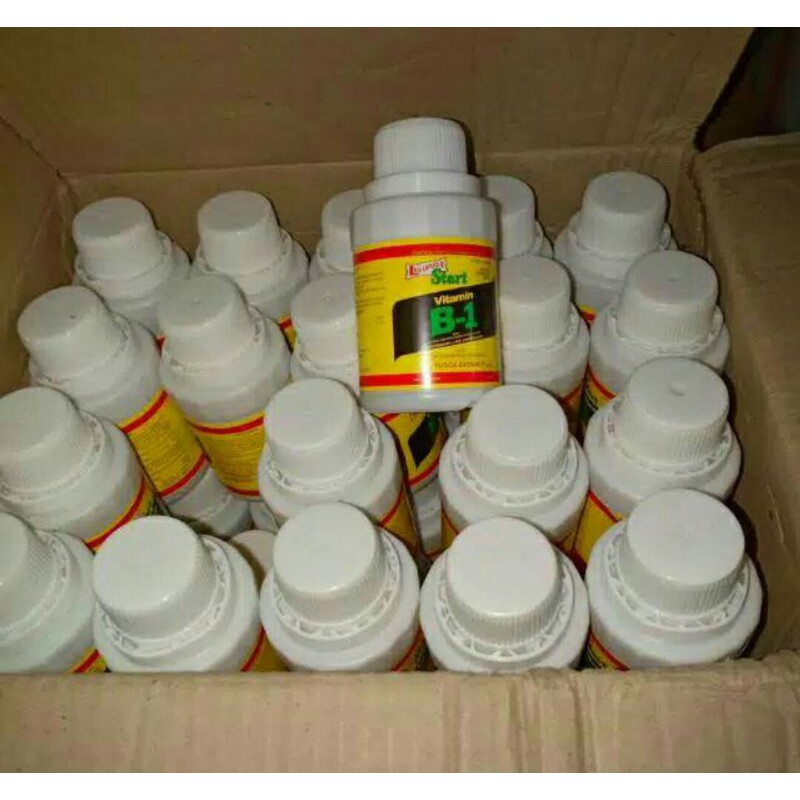 Pupuk vitamin B1 liquinox