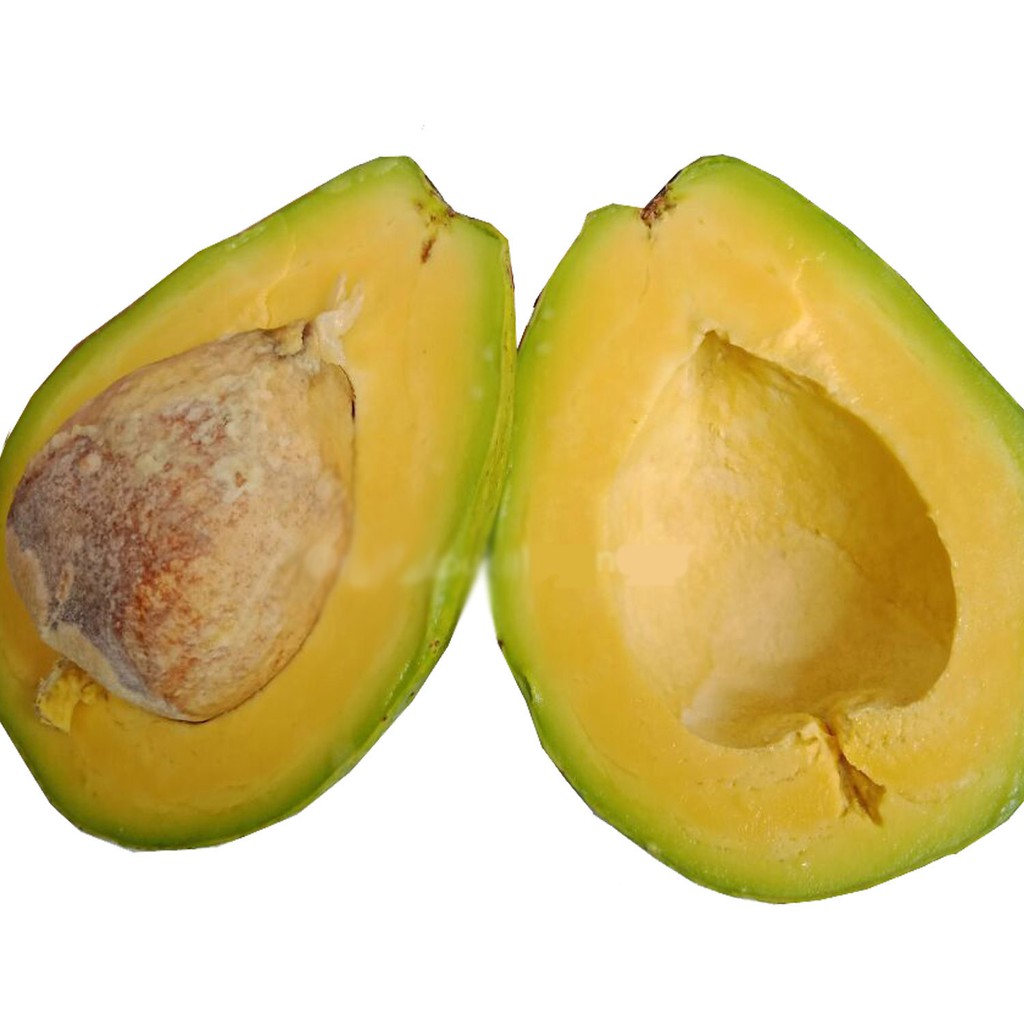 ALPUKAT MENTEGA REGULER isi 34 Pcs /kg  Shopee Indonesia