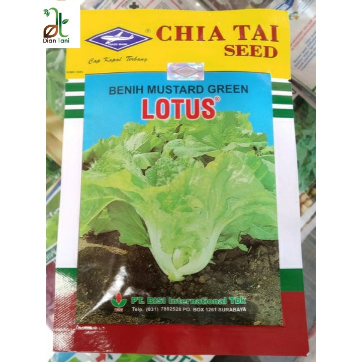 benih sawi pahit lotus 50 gram