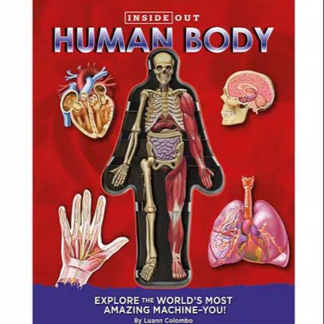 Human body Inside out