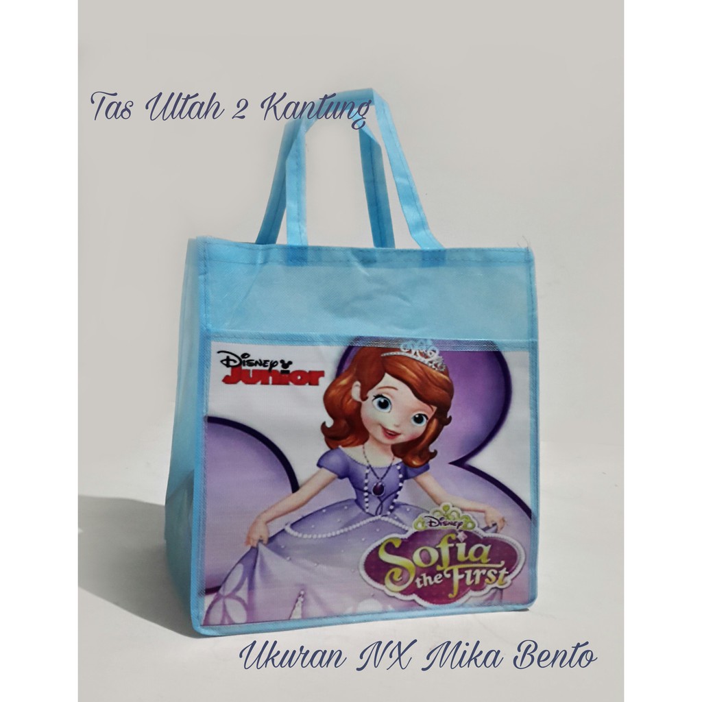 

Tas Ulang Tahun Karakter 2 Kantong Sofi