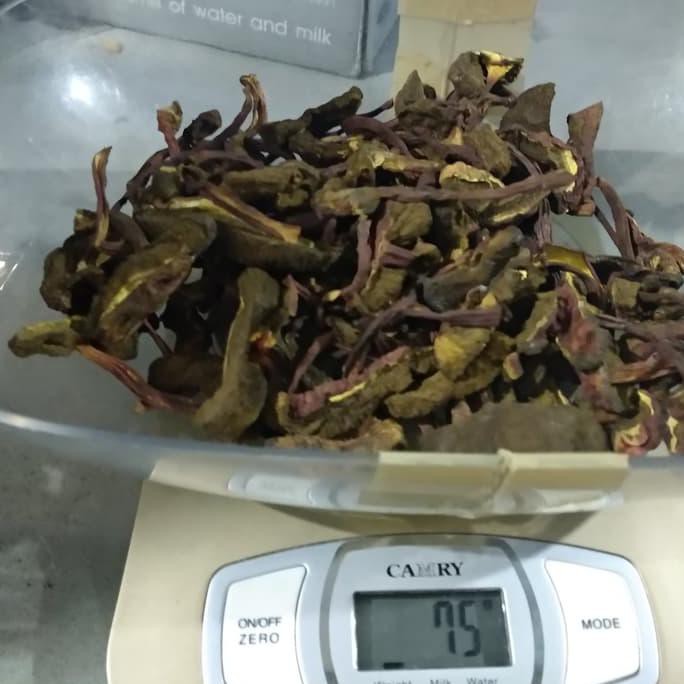 

Dijual Jamur Kulat Cendawa Pelawan Khas Bangka / Jamur Termahal Jamur Kering Terlaris