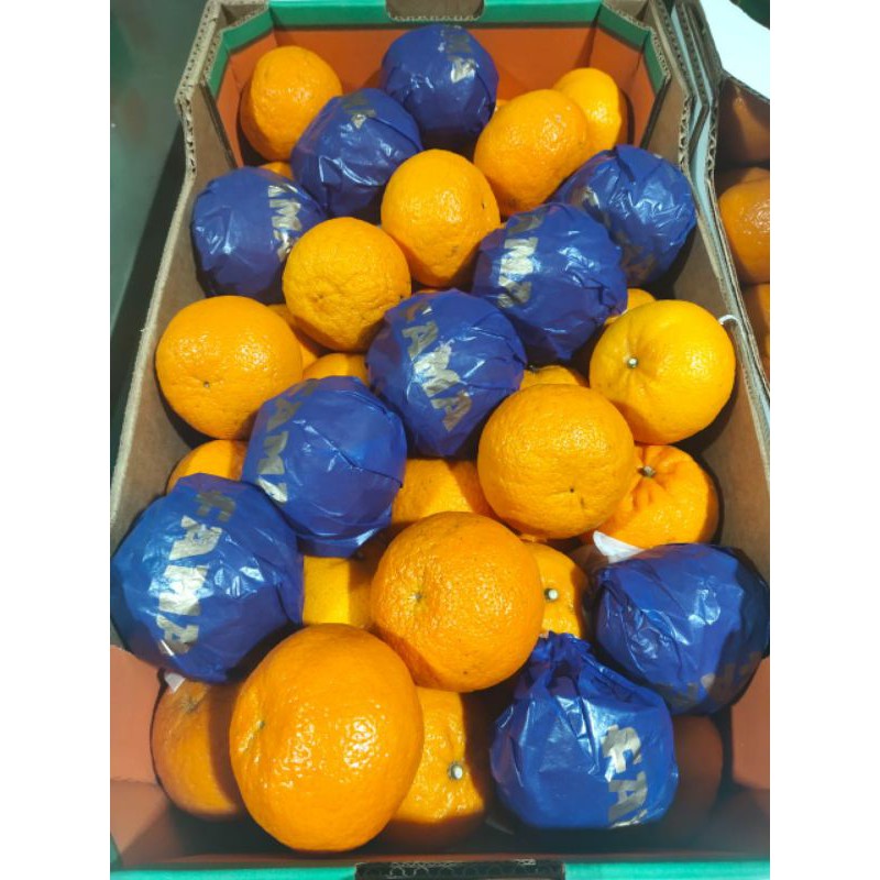 

Jeruk Argentina ORRI