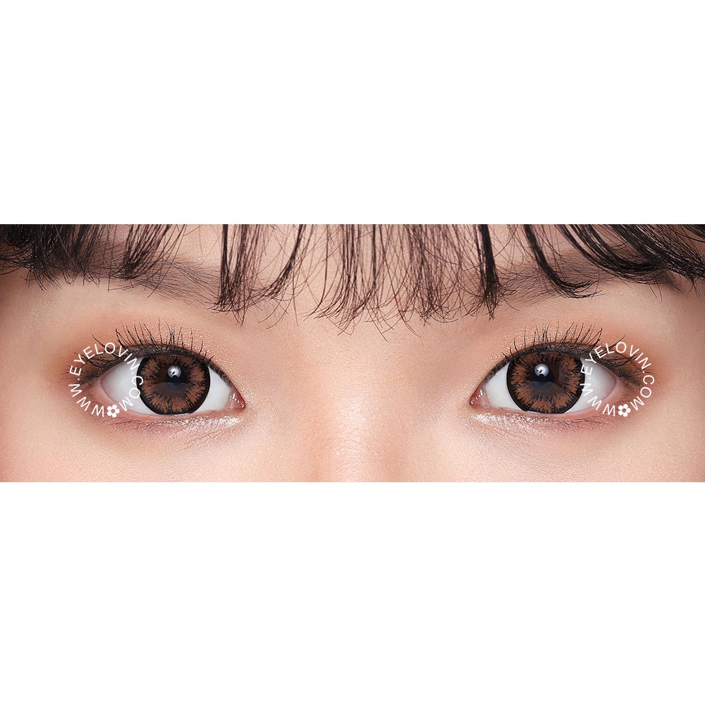 EYELOVIN Softlens Holicat - Cutie Brown