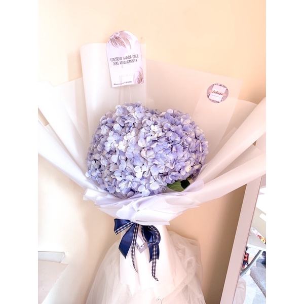 HYDRANGEA BOUQUET - MEDIUM (FRESH/ASLI)