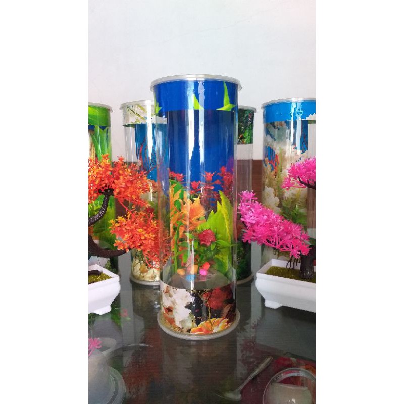 aquarium mini