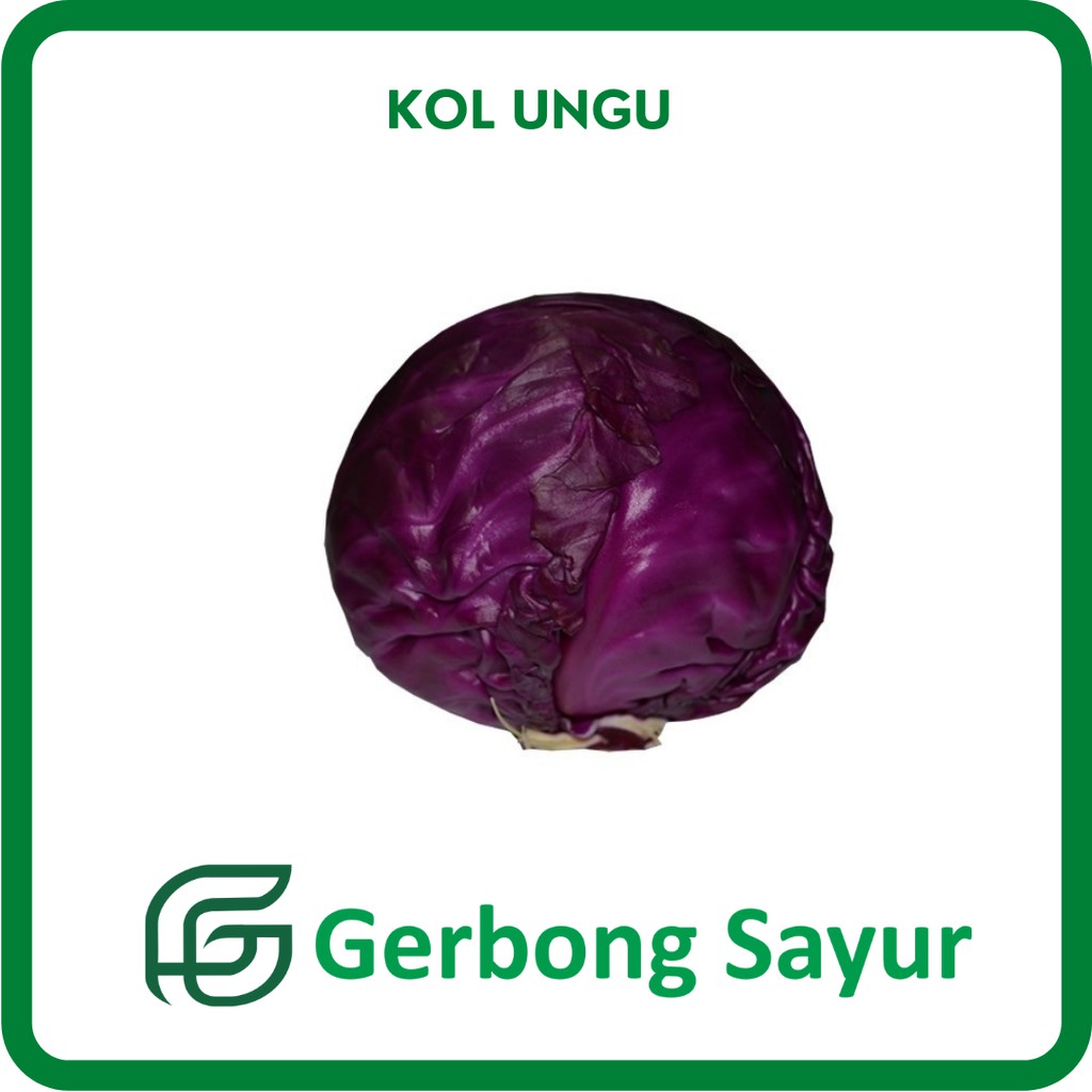

Sayur Kubis Kol Ungu Segar - 500g