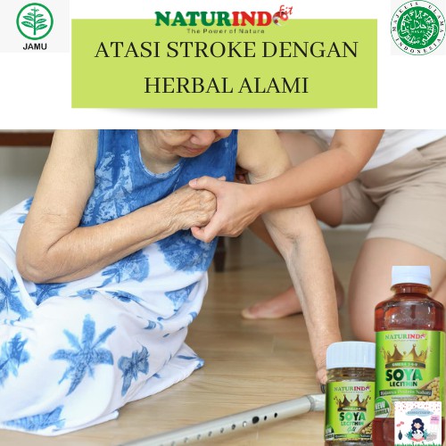 

OMEGA SOYA LECHITIN OBAT HERBAL UNTUK MENCEGAH STROKE