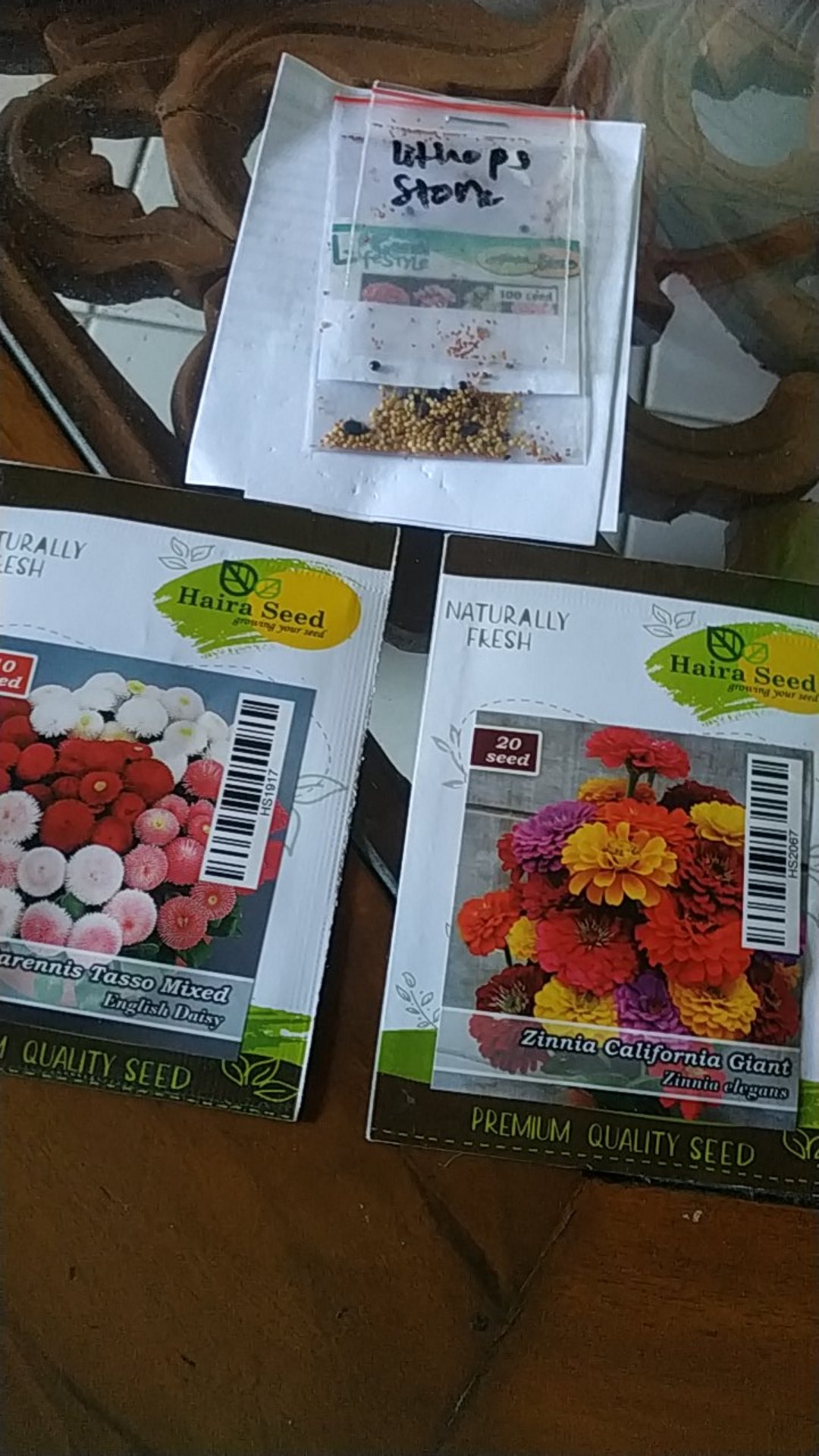 Benih Unggul Bunga Daisy Bellis Tasso Mix Haira Seed Bibit Cantik & Langka Viral 10 Biji