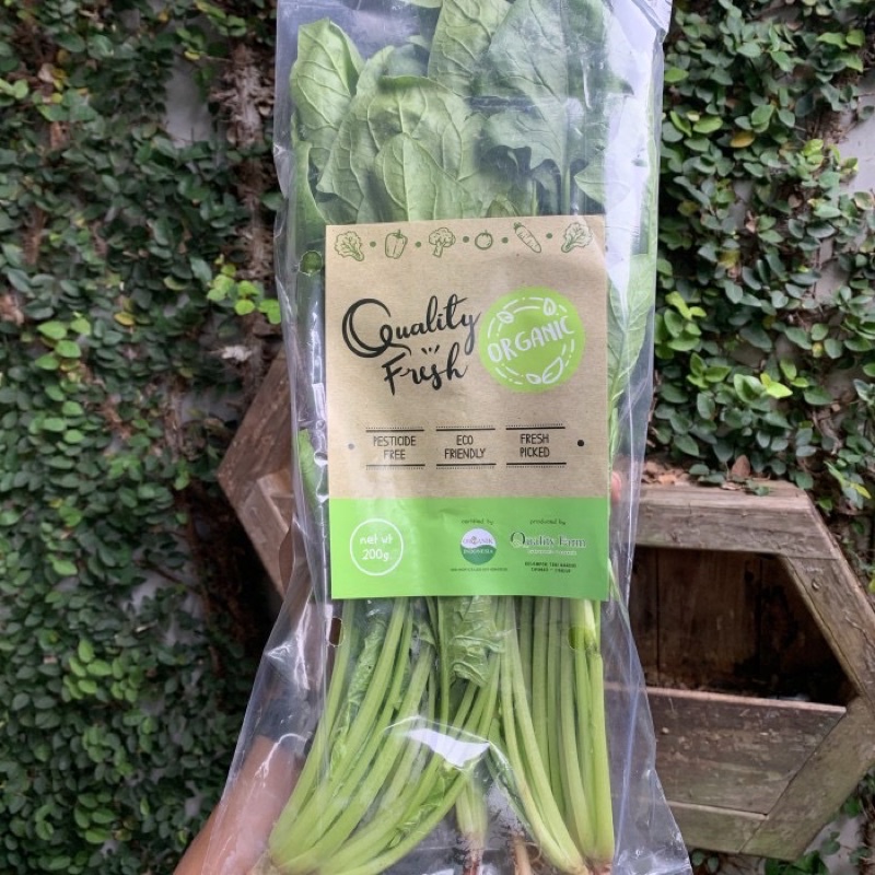 

Bayam jepang organik / horenso / horenzo