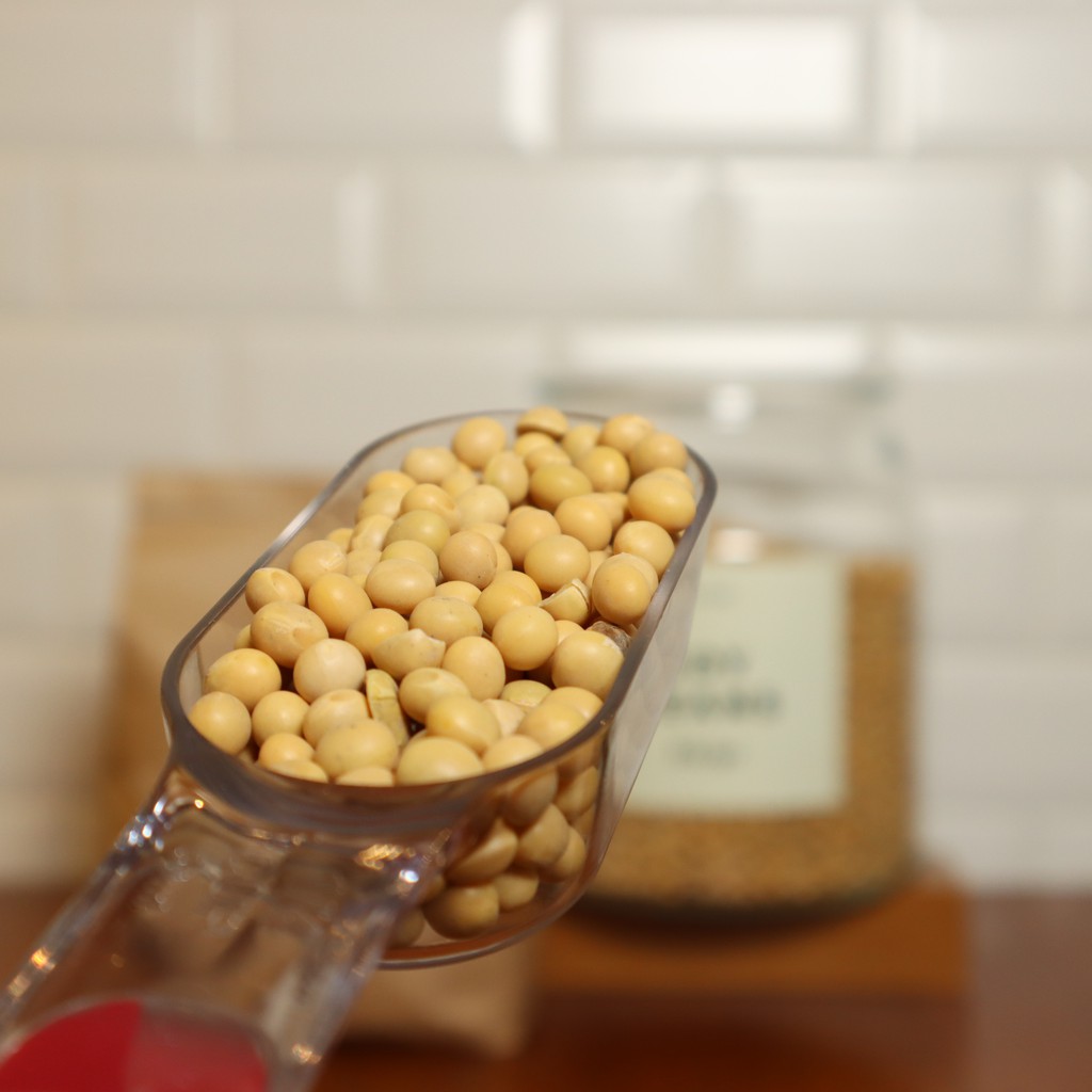 

Soy Bean
