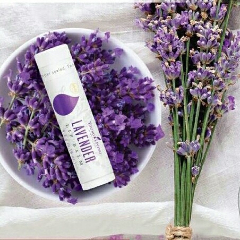 YOUNG LIVING LAVENDER LIP BALM Essential Oil 5ml  SEGEL ORIGINAL