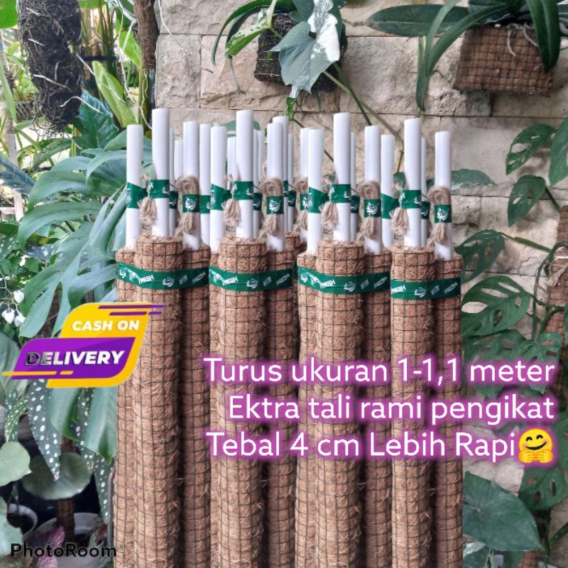 Turus 1 - 1,1 Meter Penyangga Tanaman Serabut Kelapa