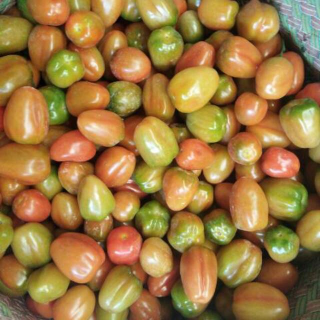 

TOMAT CERRY FRESH Harga/500gr