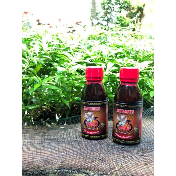 

[COD]Terlaris Madu Hutan Borneo Madu Xtra jantan MADU HUTAN BORNEO MADU JANTAN MADU KUAT MADU LANANG MADU KUAT MADU STAMINA PRIA