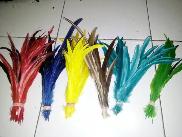Lancur pendek warna warni 15-22 cm/ Bulu ayam Lancur isi 10 biji