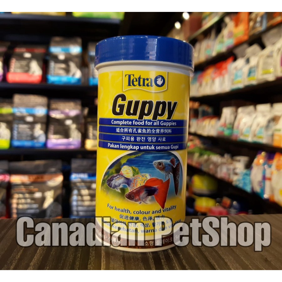 708638 - TETRA GUPPY 250ML - Makanan Ikan Guppy - Pelet Ikan Guppy