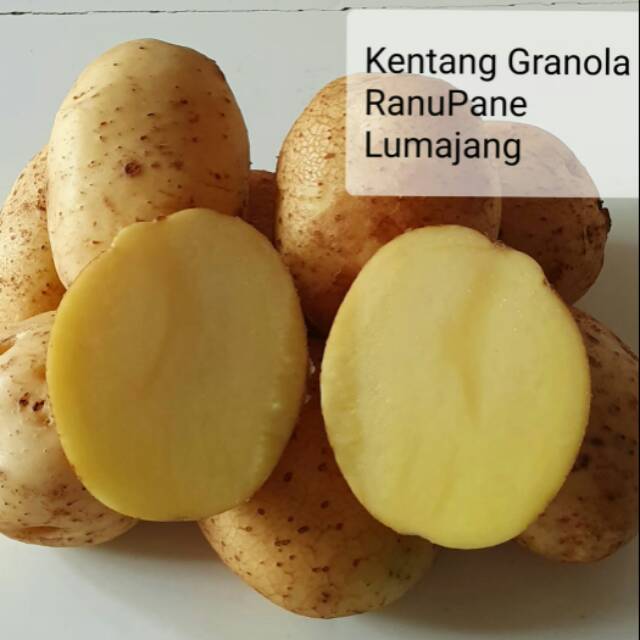 

Kentang