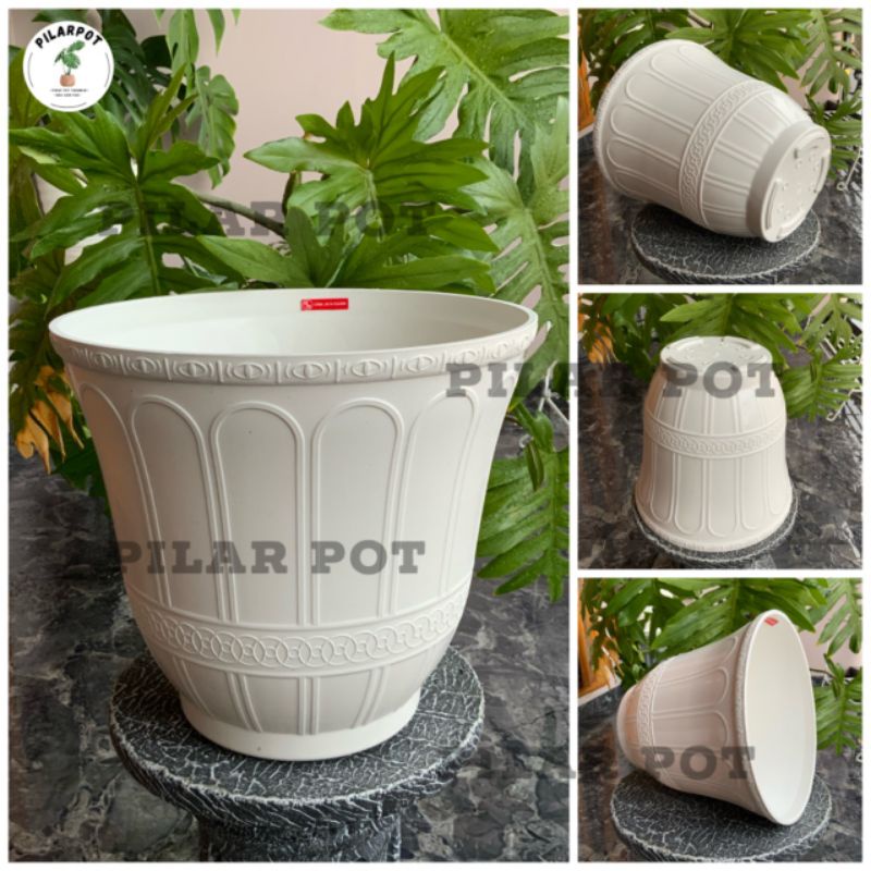 pot bunga tanaman roma putih tinggi 20cm - CJP ROMA PUTIH