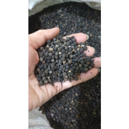 Biji Lada Hitam Lampung utuh bulat berat ASLI 1 Kilogram quality dijamin pedas / Lada Hitam 1 Kg