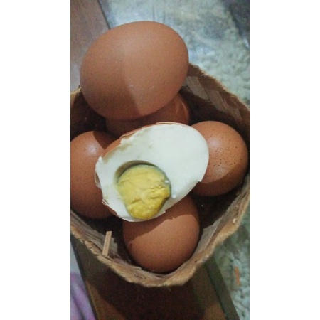 

TelA-TelA (Telur Ayam Telur Asin)