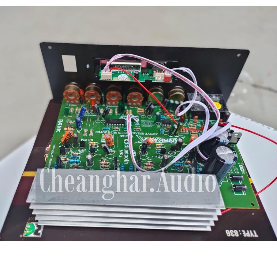 ◄ Kit Power Amplifier Speaker Aktif Stereo Karaoke Plus Bluetooth - MP3 Ankara ◘