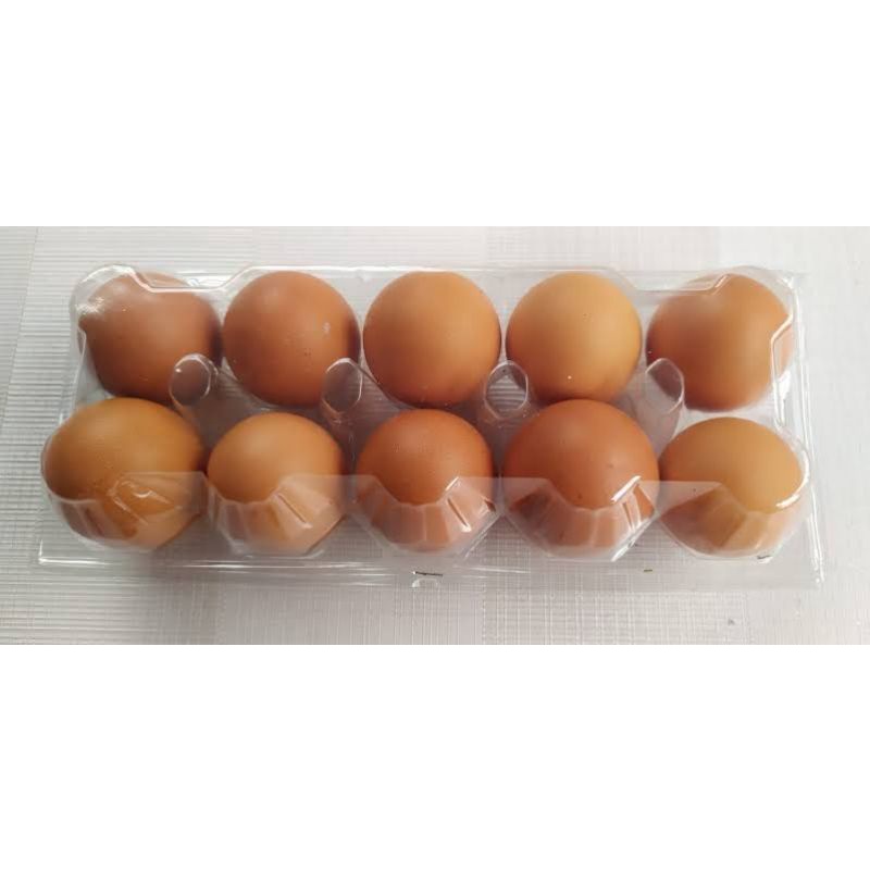 

Telur Ayam Negeri