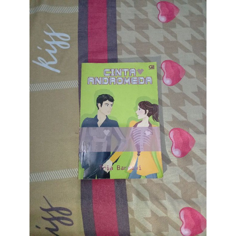 Kumpulan Cuci Gudang Novel Teenlit