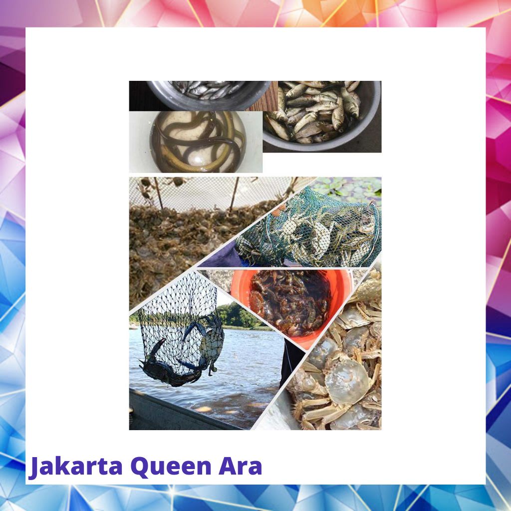 Jaring Pancing Ikan Hexagonal 8 Hole Fishing Net Trap Cage - Net00