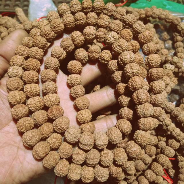 Jenitri mukhi 6 kalung tasbih japamala