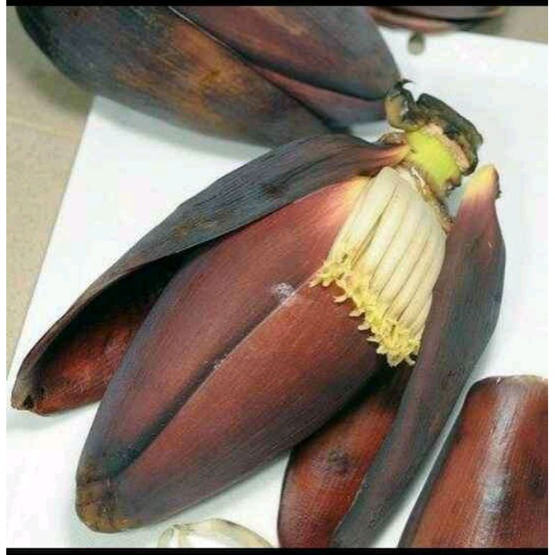 

jantung pisang batu