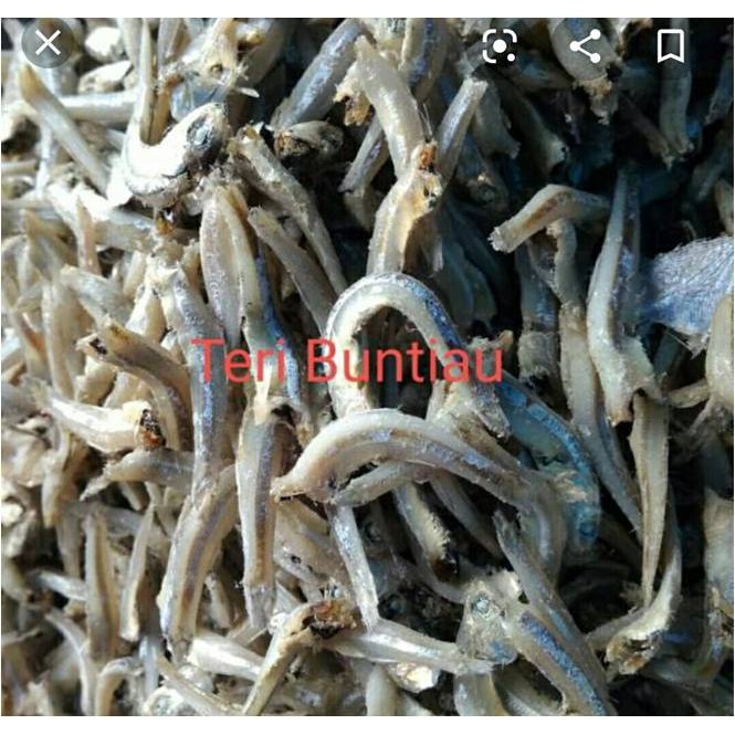 

Teri Buntiaw ( 500 Gr )