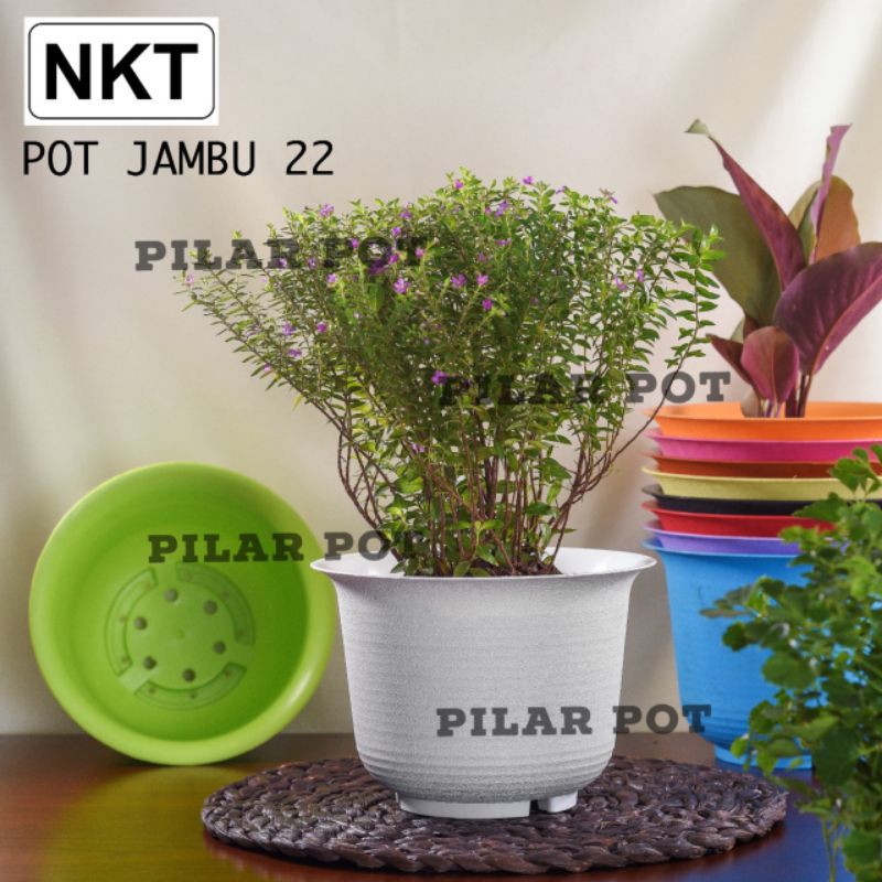 pot bunga tanaman nkt jambu 22 warna warni - nkt jambu warni