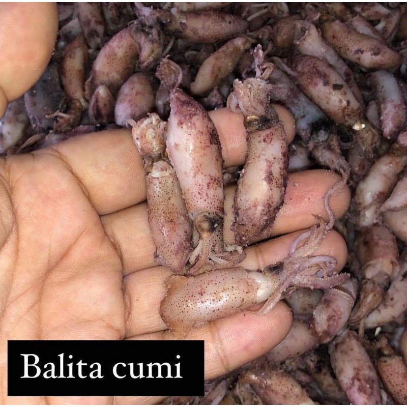 

balita cumi 1kg