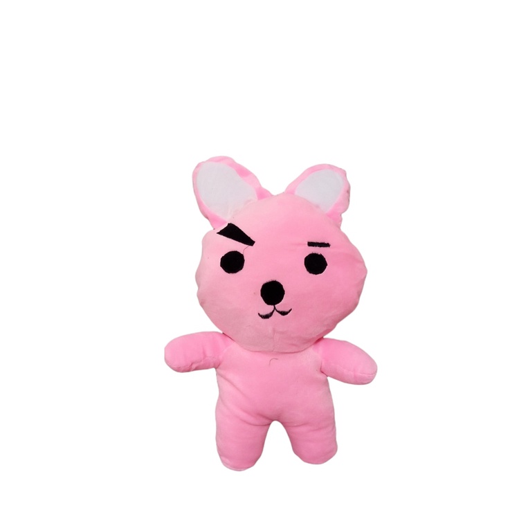 TERLARIS Boneka BT21 BTS bantal BT21 BTS Korea COOKY boneka viral lucu termurah