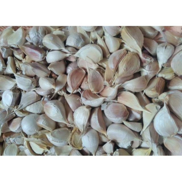 

Bawang Putih Jenis Cuting