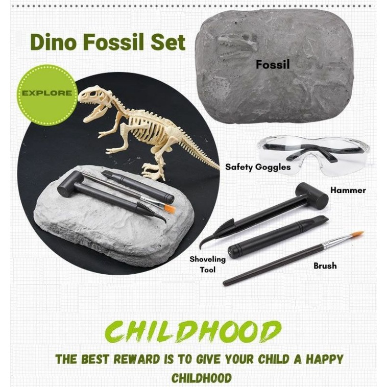

dino fossil