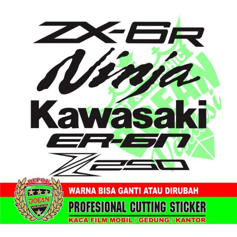 Cutting sticker Er6n kawasaki zx6R z250