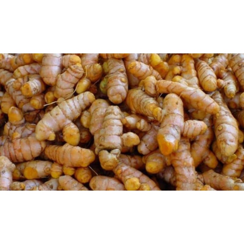

KUNYIT / CURCUMA 1kg 1000gram